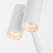 Load image into Gallery viewer, Doppia LED Table Lamp in Detail.

