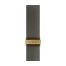 Load image into Gallery viewer, Flyta LED Wall Light in Transparent Smoke (Medium).
