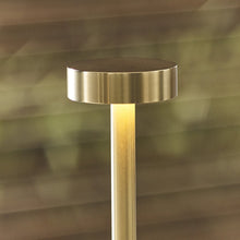 Load image into Gallery viewer, Moneta LED Table Lamp in Detail.
