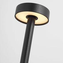 Load image into Gallery viewer, Moneta LED Table Lamp in Detail.
