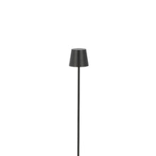 Load image into Gallery viewer, Nevis LED Floor Lamp in Detail.
