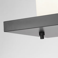 Load image into Gallery viewer, Rectangular Multiport Canopy in Detail.
