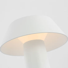 Load image into Gallery viewer, Sesa LED Table Lamp in Detail.
