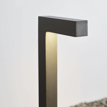 Load image into Gallery viewer, Strut Outdoor LED Path Light Outside Area.
