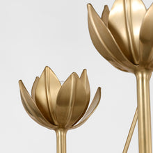 Load image into Gallery viewer, Alberto Chandelier in Detail.
