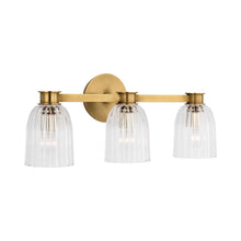Load image into Gallery viewer, Asalea Bath Vanity Light in Hand-Rubbed Antique Brass (3-Light).
