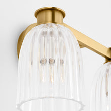 Load image into Gallery viewer, Asalea Bath Vanity Light in Detail.
