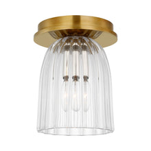 Load image into Gallery viewer, Asalea Flush Mount Ceiling Light.
