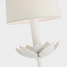 Load image into Gallery viewer, Clementine Wall Light in Detail.
