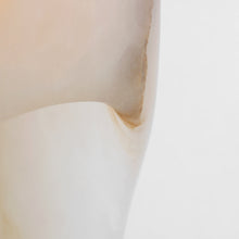 Load image into Gallery viewer, Esculpa LED Wall Light in Detail.
