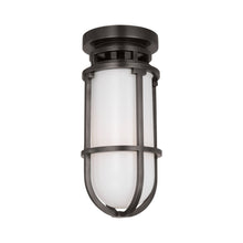 Load image into Gallery viewer, Gracie LED Flush Mount Ceiling Light in Bronze/White.
