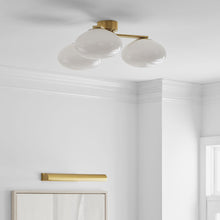 Load image into Gallery viewer, Marisol LED Flush Mount Ceiling Light in living room.
