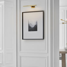 Load image into Gallery viewer, Petrel LED Picture Light in living room.
