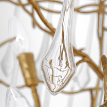 Load image into Gallery viewer, Rayne Chandelier in Detail.

