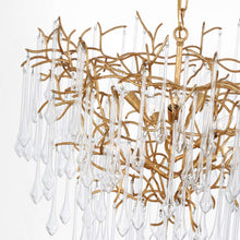Load image into Gallery viewer, Rayne Chandelier in Detail.
