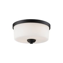 Load image into Gallery viewer, Arlington Flush Mount Ceiling Light in Bronze (Small).
