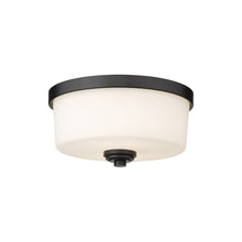Load image into Gallery viewer, Arlington Flush Mount Ceiling Light in Matte Black (Small).
