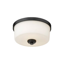 Load image into Gallery viewer, Arlington Flush Mount Ceiling Light in Detail.
