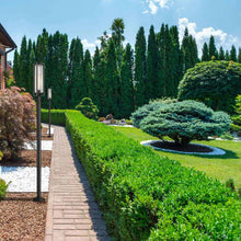 Load image into Gallery viewer, Aura Outdoor Lean Post Light in Outside Area.
