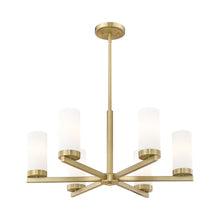 Load image into Gallery viewer, Danica Chandelier in Detail.
