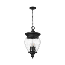 Load image into Gallery viewer, Davina Outdoor Pendant Light in Detail.
