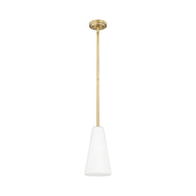 Load image into Gallery viewer, Farrell Pendant Light in Detail.
