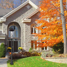 Load image into Gallery viewer, Gannon Outdoor Ornate Post Light in Outside Area.
