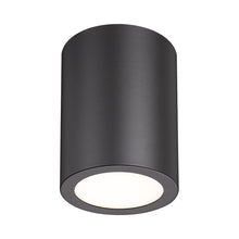 Load image into Gallery viewer, Harley Flush Mount Ceiling Light.
