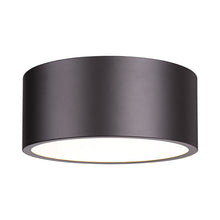 Load image into Gallery viewer, Harley Flush Mount Ceiling Light in Bronze (12-Inch).
