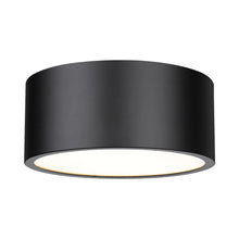 Load image into Gallery viewer, Harley Flush Mount Ceiling Light in Matte Black (12-Inch).

