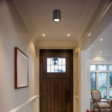 Load image into Gallery viewer, Harley Flush Mount Ceiling Light in living room.
