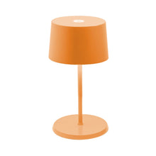Load image into Gallery viewer, Olivia Mini LED Table Lamp in Orange.
