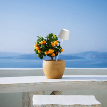 Load image into Gallery viewer, Poldina Peg LED Inground Light in Outside Area.
