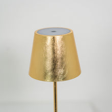 Load image into Gallery viewer, Poldina Pro LED Table Lamp in Detail.
