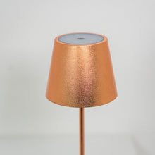 Load image into Gallery viewer, Poldina Pro LED Table Lamp in Detail.
