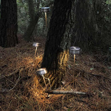 Load image into Gallery viewer, Sister LED Portable Table Lamp in Outside Area.

