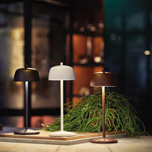 Load image into Gallery viewer, Theta Pro LED Table Lamp in Detail.
