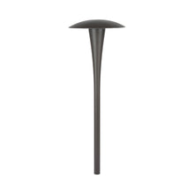 Load image into Gallery viewer, 6011 LED Area Light in Bronze/Aluminum.

