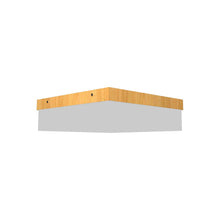 Load image into Gallery viewer, Clean Slim LED Flush Mount Ceiling Light in Louro Freijo (Small).
