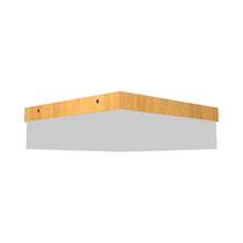 Load image into Gallery viewer, Clean Slim LED Flush Mount Ceiling Light in Louro Freijo (Large).
