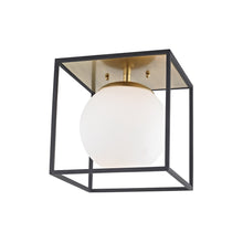 Load image into Gallery viewer, Aira Flush Mount Ceiling Light in Black and White.
