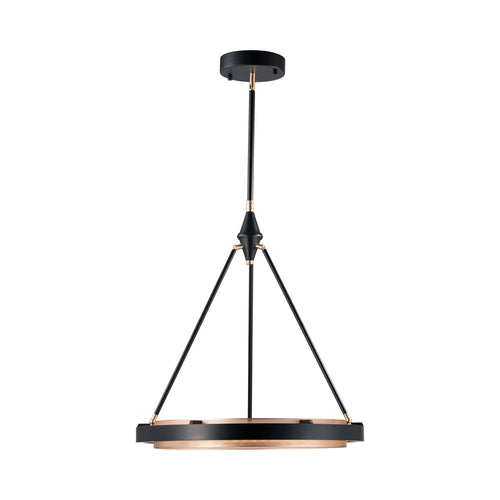 Duo LED Pendant Light.