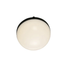 Load image into Gallery viewer, Globo LED Flush Mount Ceiling Light in Detail.
