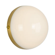 Load image into Gallery viewer, Globo LED Wall Light.
