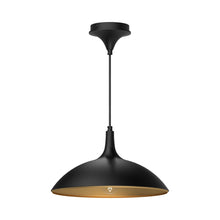 Load image into Gallery viewer, Abel Pendant Light in Matte Black.
