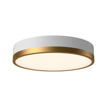 Load image into Gallery viewer, Adelaide LED Flush Mount Ceiling Light in Aged Gold/White (Small).
