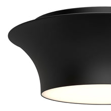 Load image into Gallery viewer, Emiko Flush Mount Ceiling Light in Detail.
