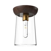 Load image into Gallery viewer, Emil Flush Mount Ceiling Light.
