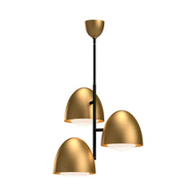 Load image into Gallery viewer, Kenji Chandelier.
