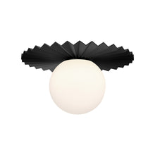 Load image into Gallery viewer, Plume Flush Mount Ceiling Light in Matte Black (Small).
